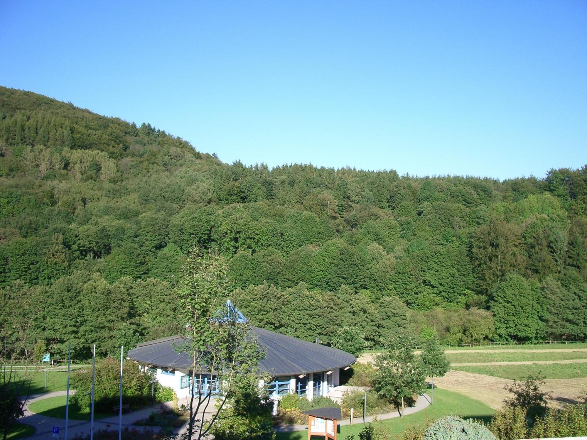 Aritee Apartments Sonnenschein Willingen  Exterior foto